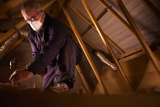 Best Cellulose Insulation in Vandalia, OH